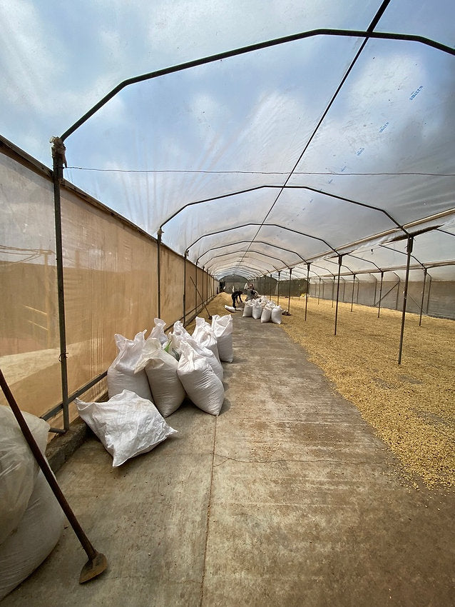 West Valley Blend Costa Rica