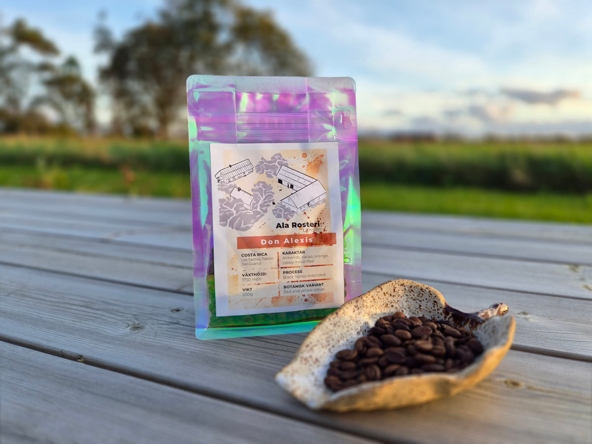 Don Alexis black honey extended red and yellow catuai coffee beans 